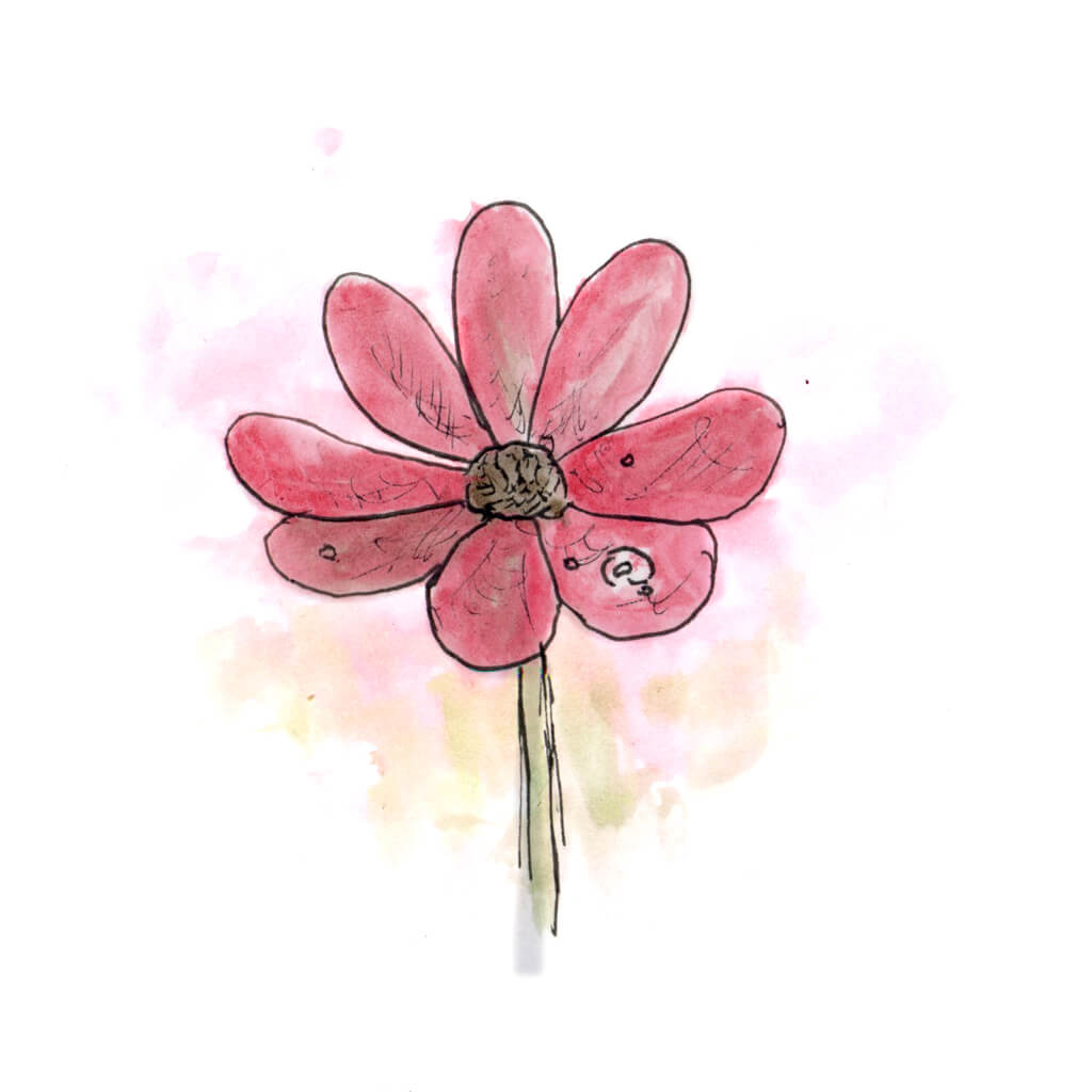 water color pink flower