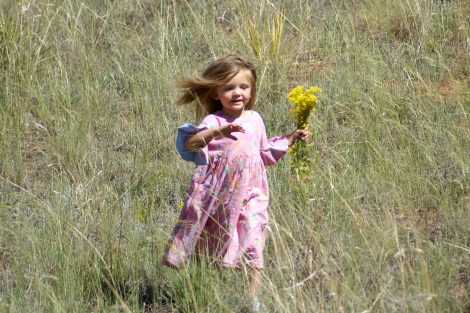 honey running down hill