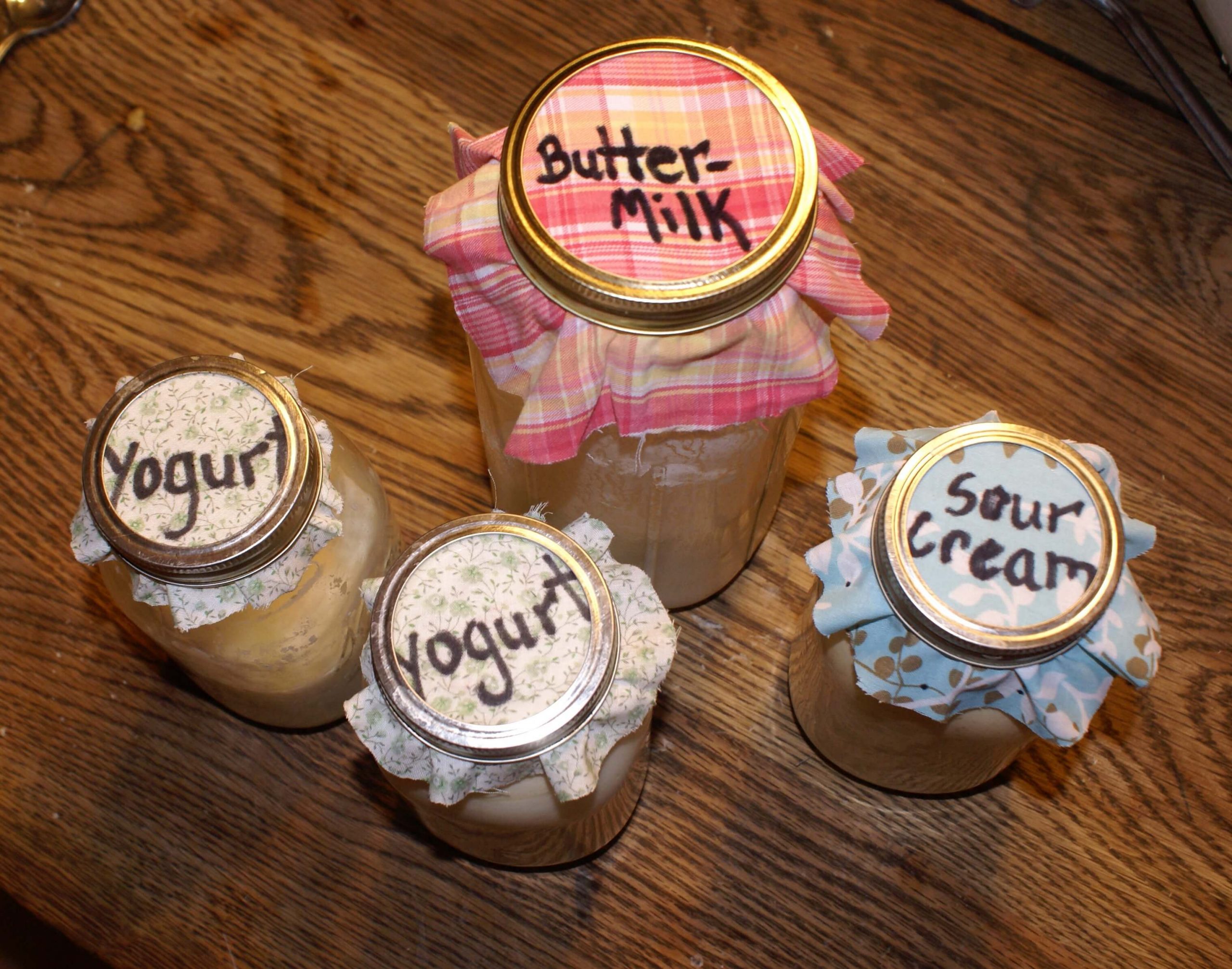 Cottage Cheese