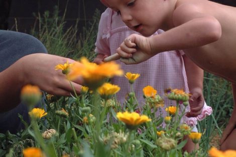 boy looks at flower