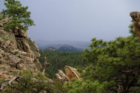 Scenery with rocks and trees and distant valley.